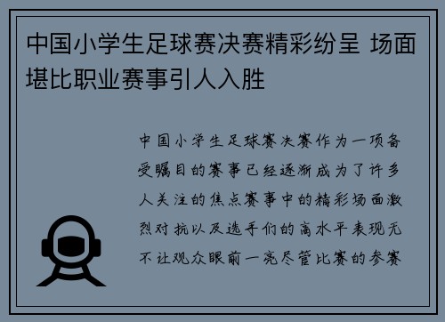 中国小学生足球赛决赛精彩纷呈 场面堪比职业赛事引人入胜