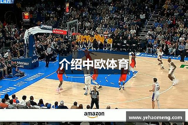 介绍中欧体育